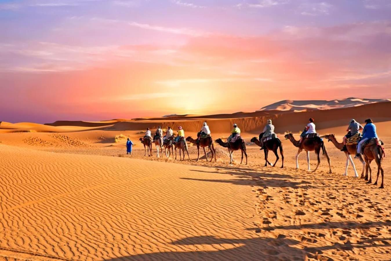 Desert Luxury Camp M'Hamid Eksteriør bilde